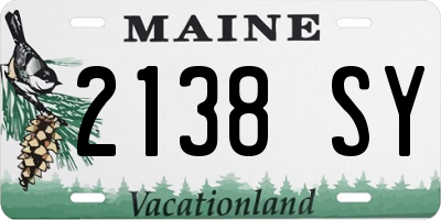 ME license plate 2138SY