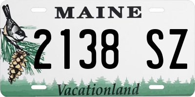 ME license plate 2138SZ