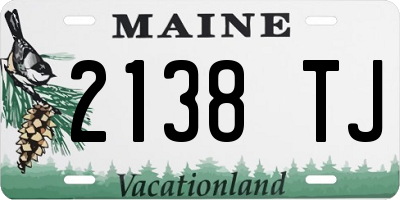 ME license plate 2138TJ