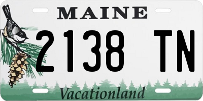 ME license plate 2138TN