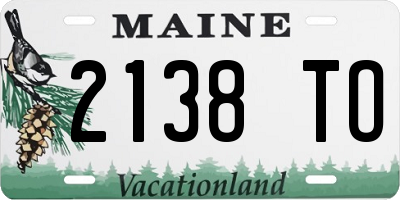 ME license plate 2138TO