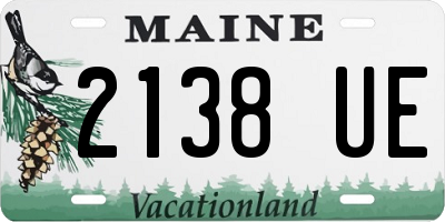 ME license plate 2138UE