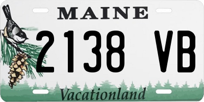 ME license plate 2138VB