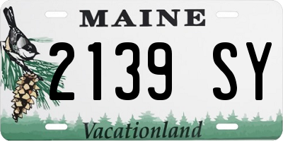 ME license plate 2139SY