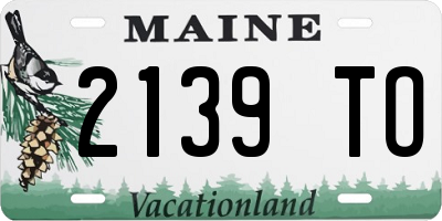 ME license plate 2139TO