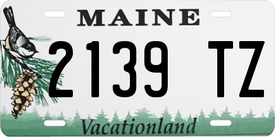 ME license plate 2139TZ