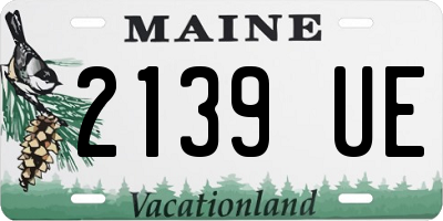ME license plate 2139UE