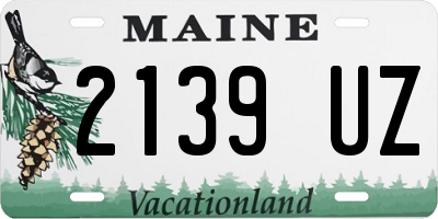 ME license plate 2139UZ