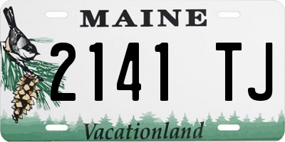 ME license plate 2141TJ