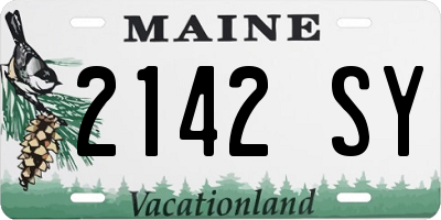 ME license plate 2142SY