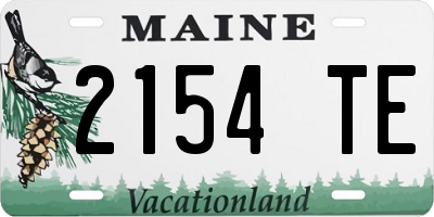 ME license plate 2154TE