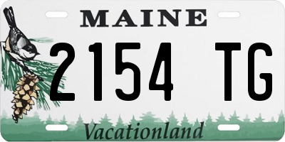 ME license plate 2154TG