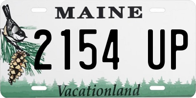 ME license plate 2154UP