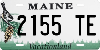 ME license plate 2155TE