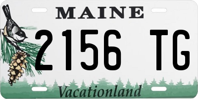 ME license plate 2156TG