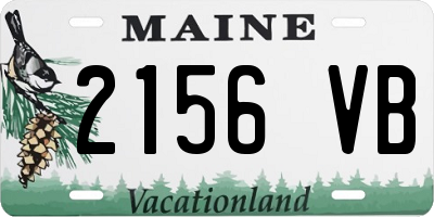 ME license plate 2156VB