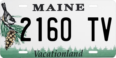 ME license plate 2160TV