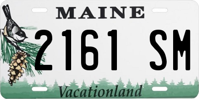 ME license plate 2161SM