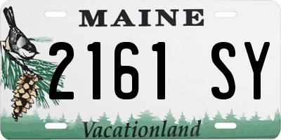 ME license plate 2161SY
