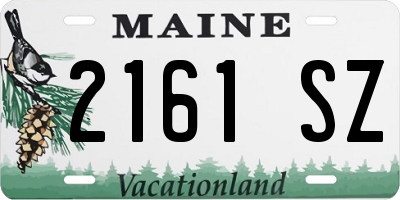 ME license plate 2161SZ