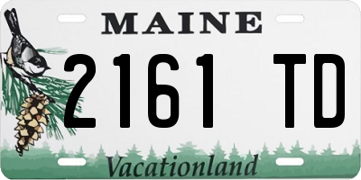 ME license plate 2161TD