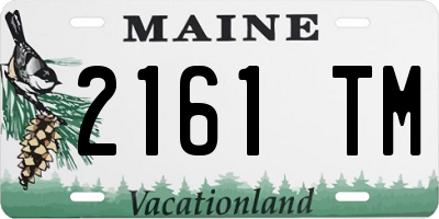 ME license plate 2161TM