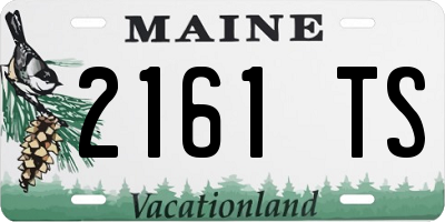 ME license plate 2161TS