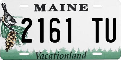 ME license plate 2161TU