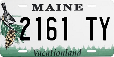 ME license plate 2161TY