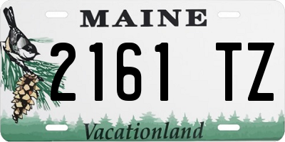 ME license plate 2161TZ