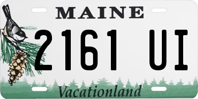 ME license plate 2161UI