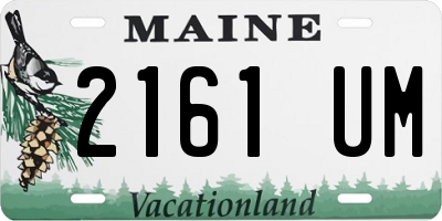 ME license plate 2161UM