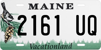 ME license plate 2161UQ