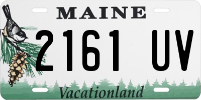 ME license plate 2161UV