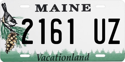 ME license plate 2161UZ