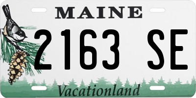 ME license plate 2163SE