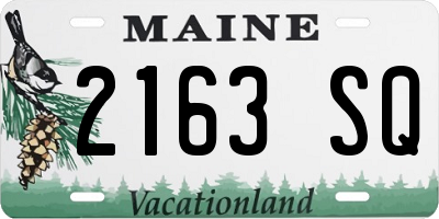 ME license plate 2163SQ
