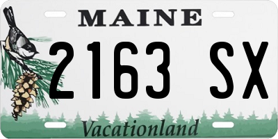 ME license plate 2163SX