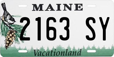 ME license plate 2163SY