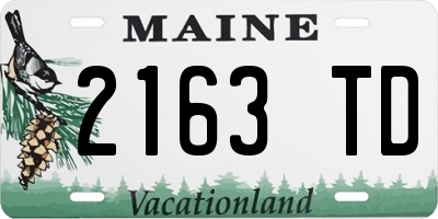 ME license plate 2163TD