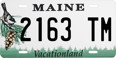 ME license plate 2163TM