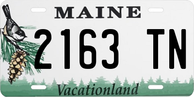 ME license plate 2163TN