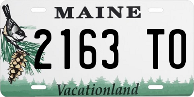 ME license plate 2163TO