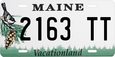 ME license plate 2163TT