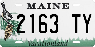 ME license plate 2163TY
