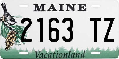 ME license plate 2163TZ