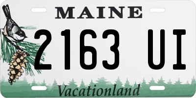 ME license plate 2163UI