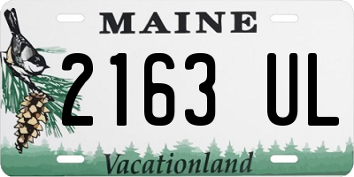 ME license plate 2163UL