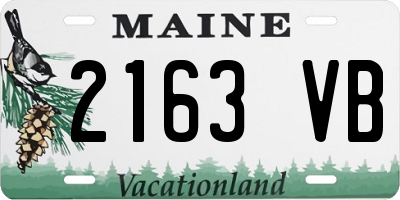 ME license plate 2163VB
