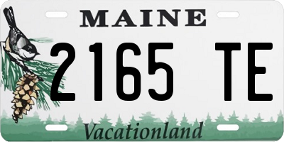 ME license plate 2165TE